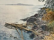 Driftwood, Ruckle Point
