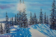 Mount Seymour Trees - SOLD